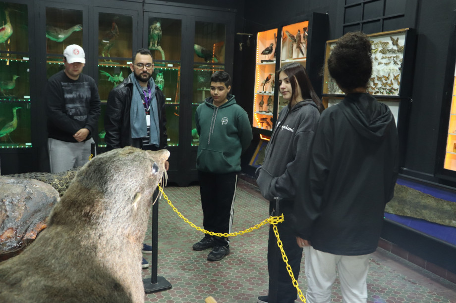 Museu de História Natural da UCPel apresenta nova exposição