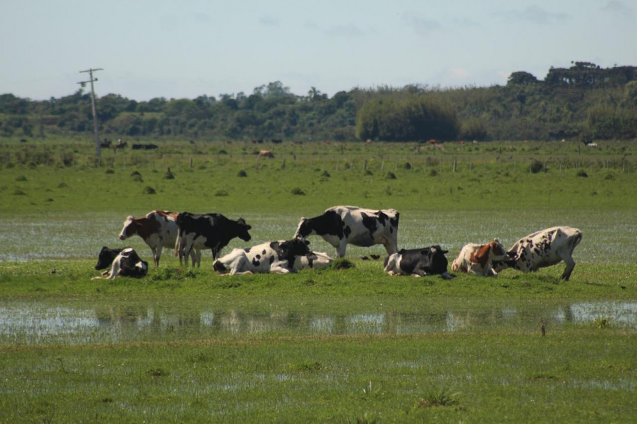 Abertas as inscrições para o curso de pós-graduação em Gestão do Agronegócio