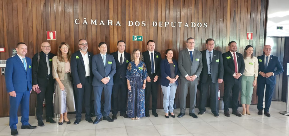 Reitor da UCPel participa de ato em Brasília pela regulamentação das Universidades Comunitárias