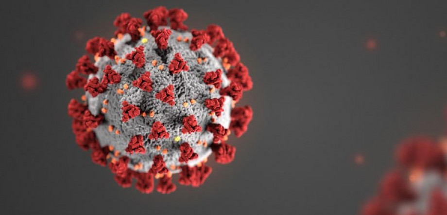 UCPel adota medidas de prevenção ao coronavírus