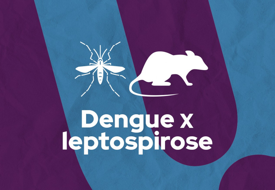 Dengue x leptospirose: Saiba a diferença entre os sintomas