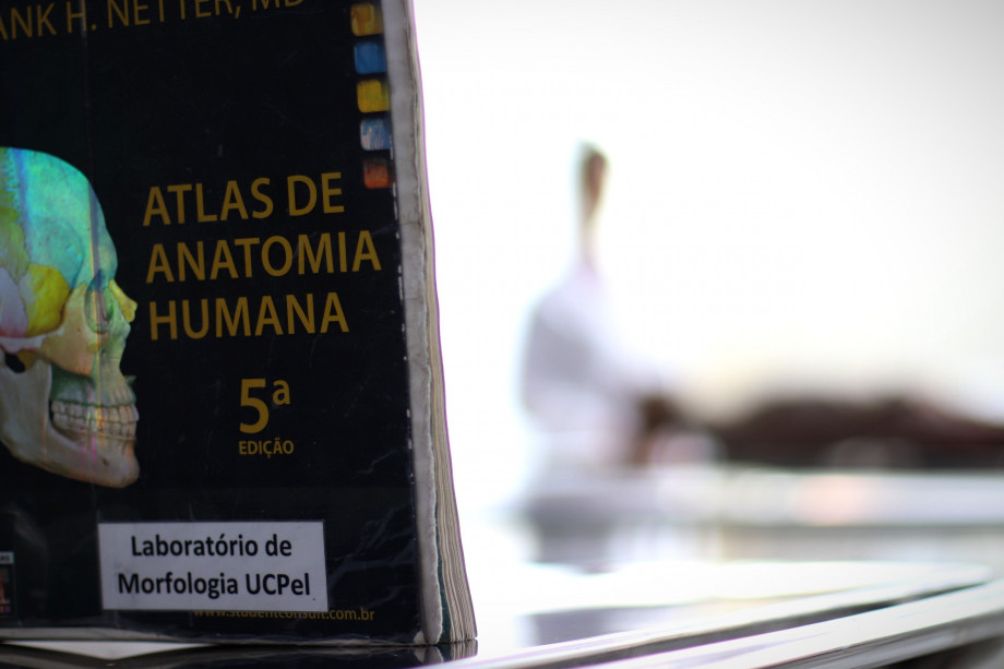 UCPel realiza missa em sufrágio pelos doadores de corpos utilizados no ensino e na pesquisa