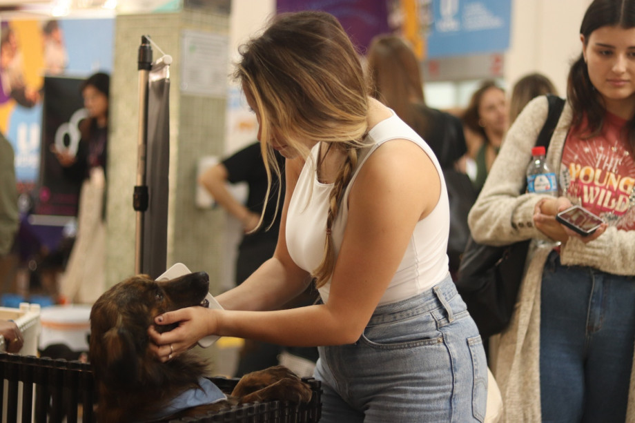 UCPel promove Pet Day, com adoção de animais e bate-papo sobre saúde mental