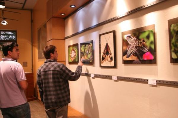 Últimos dias para artistas se inscreverem na Garte