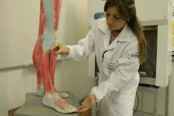 UCPel lança especialização inédita na área de Fisioterapia