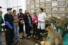 Dez anos de história natural na UCPel
