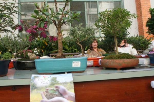 Está chegando a 8ª Feira Bem da Terra