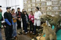 Ecologia da Católica realiza mostra no Laranjal