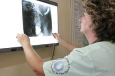 UCPel analisa proposta para assumir serviço de traumatologia