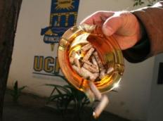 UCPel Mais Saudável completa um ano de atividades