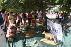 Mostra da Ecologia é atração na Dom Joaquim hoje (29)