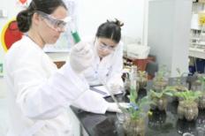 Alunas da Química Ambiental participam de Simpósio Internacional