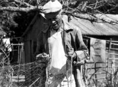 Católica abre inscrições para projeto fotográfico “Ilha dos Marinheiros”