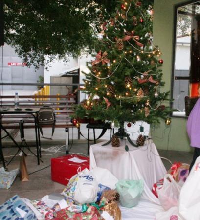 Árvore de Natal estará à disposição de Padrinhos nesta quinta-feira