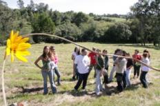 UCPel promove Seminário Internacional de Ecologia