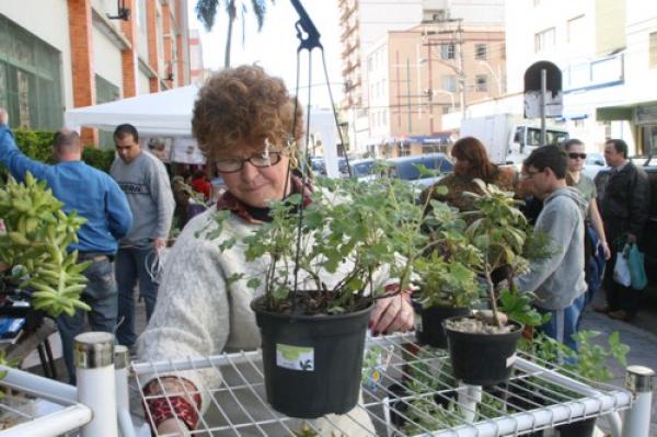 Plantas ganham destaque na Feira Bem da Terra deste mês