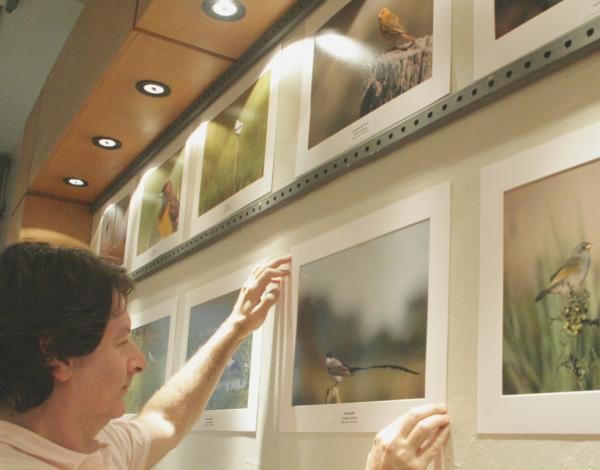 Exposição na Garte mostra fotografias de aves da região Sul