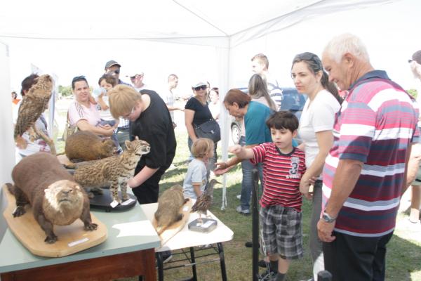 UCPel marca presença em movimento em prol do Pontal da Barra
