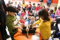 Projeto Sorrindo Verde é aprovado pela segunda vez no Portal Social